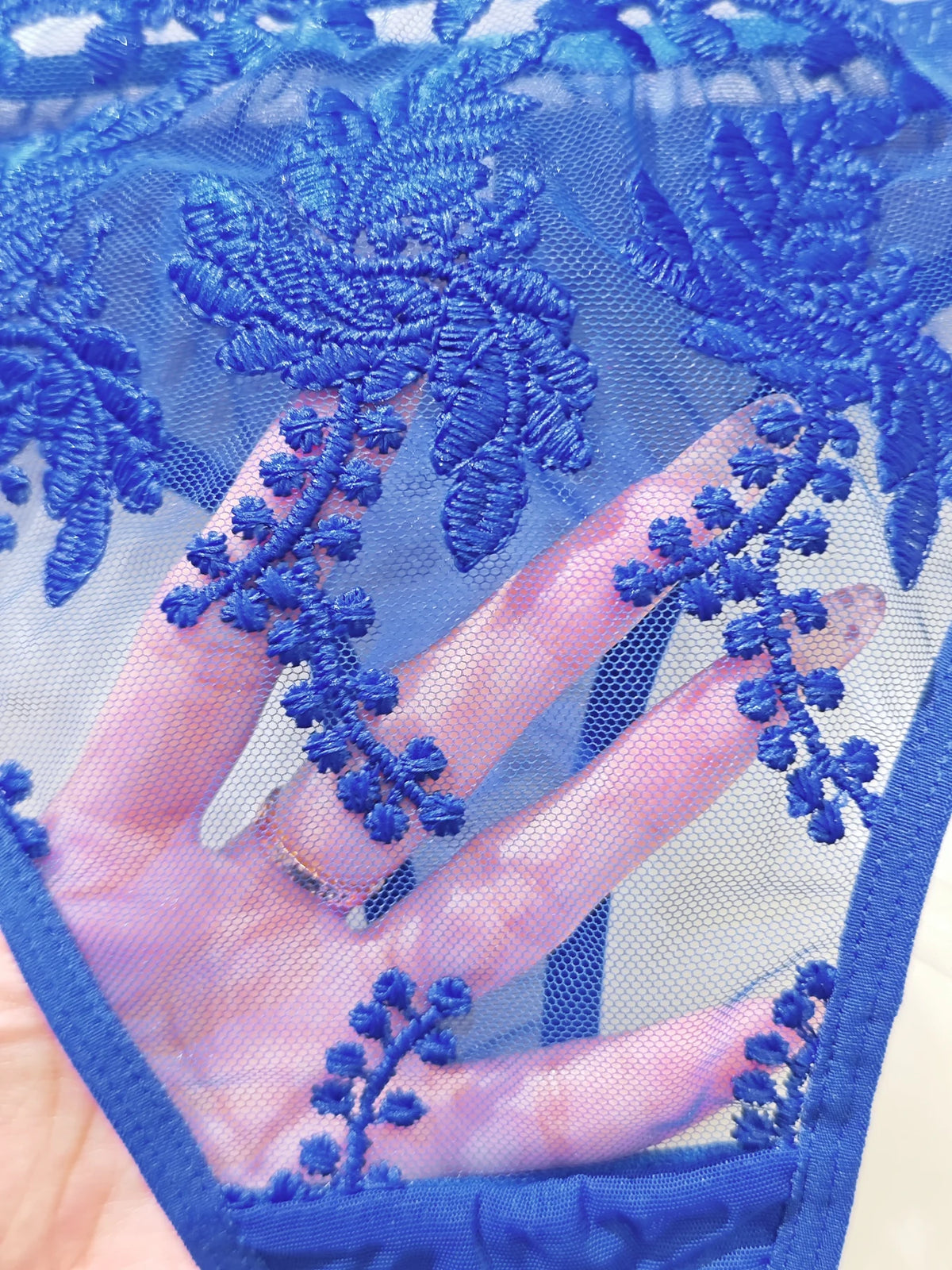 Plus Size Embroidered Lace Bra Set