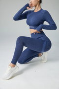 Yoga Clothing Set High Waisted